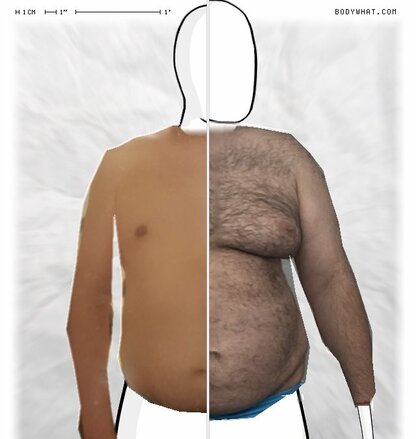 Torso Comparison