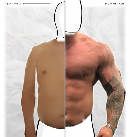 Torso Comparison