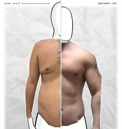 Torso Comparison