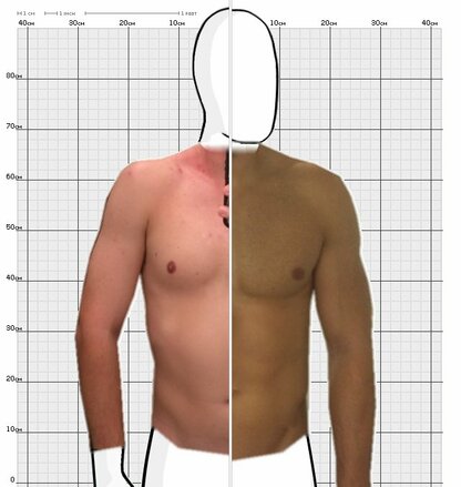 Torso Comparison