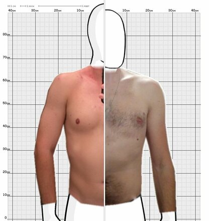 Torso Comparison