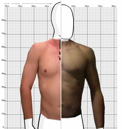Torso Comparison