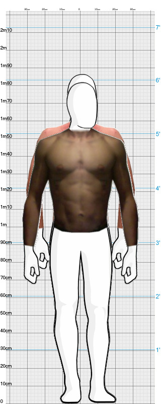 Full Size Comparison