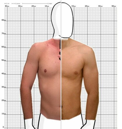 Torso Comparison