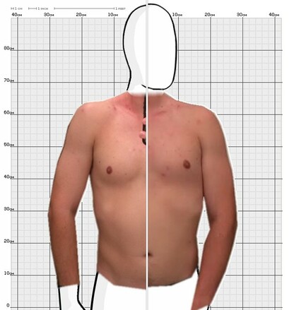 Torso Comparison