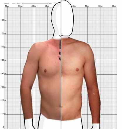 Torso Comparison