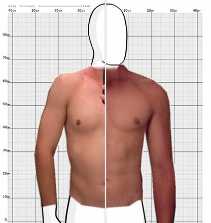 Torso Comparison
