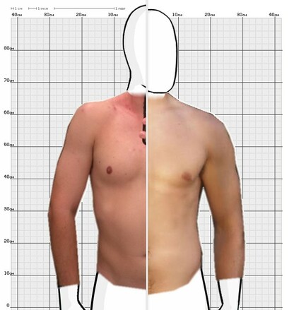 Torso Comparison