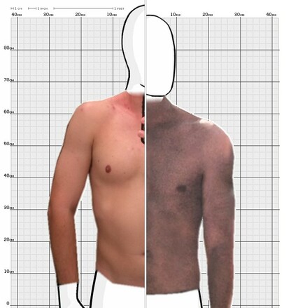 Torso Comparison
