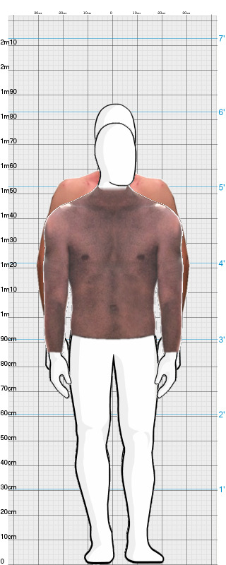 Full Size Comparison