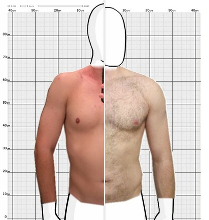 Torso Comparison