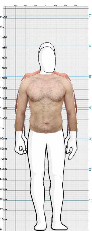 Full Size Comparison