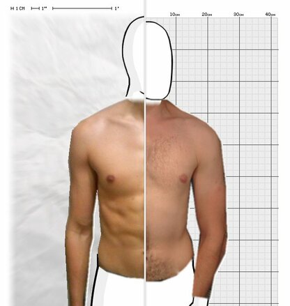 Torso Comparison