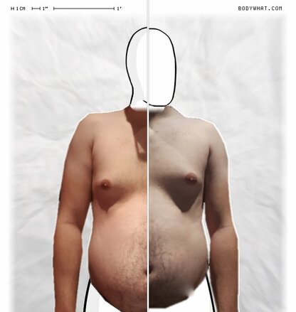Torso Comparison