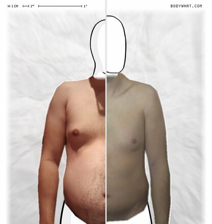 Torso Comparison
