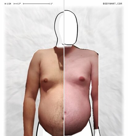 Torso Comparison