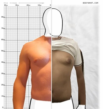 Torso Comparison