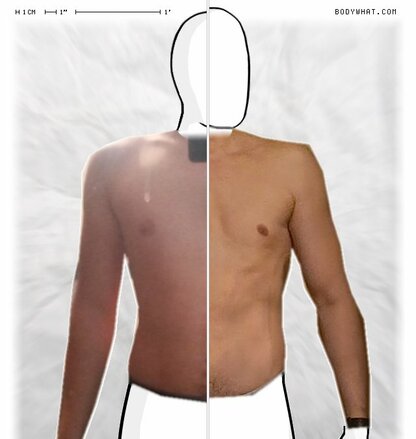 Torso Comparison