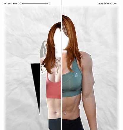 Torso Comparison