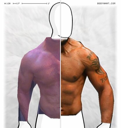 Torso Comparison