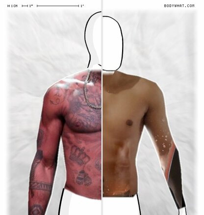 Torso Comparison