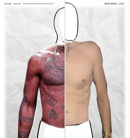 Torso Comparison