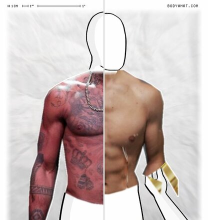 Torso Comparison