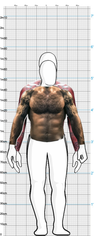 Full Size Comparison