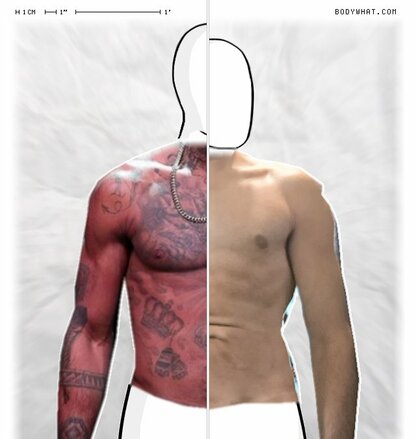 Torso Comparison