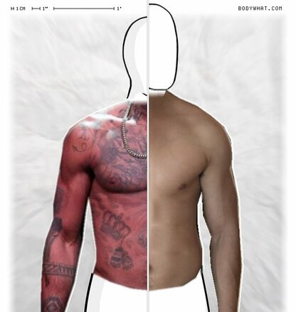 Torso Comparison
