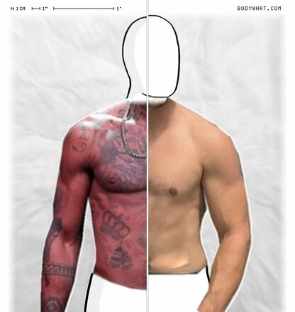 Torso Comparison