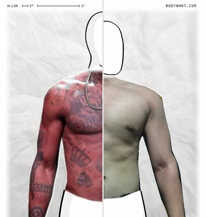 Torso Comparison