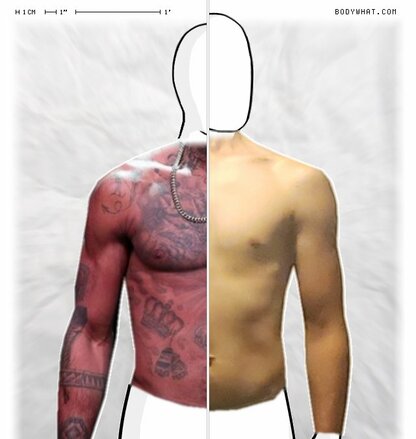 Torso Comparison
