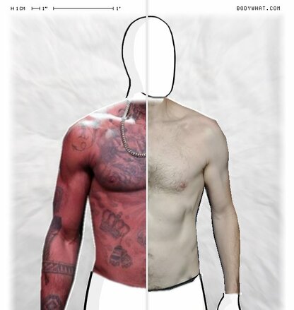 Torso Comparison