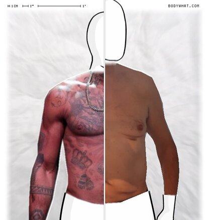 Torso Comparison