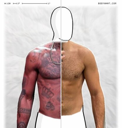 Torso Comparison