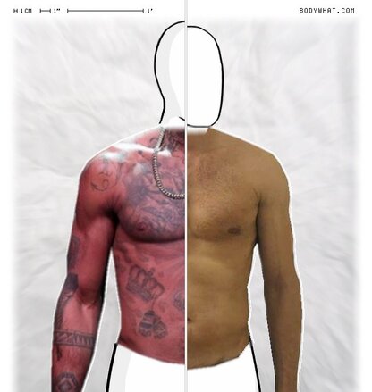 Torso Comparison
