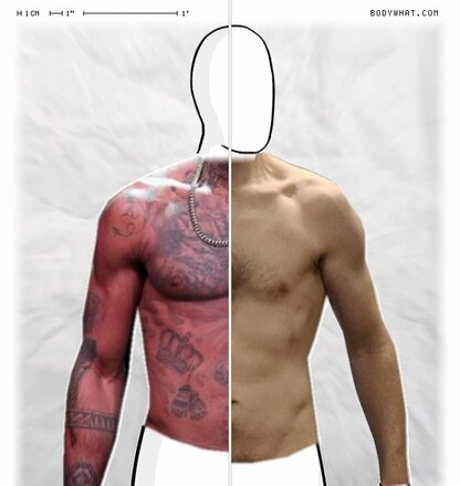 Torso Comparison