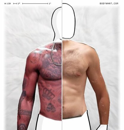 Torso Comparison