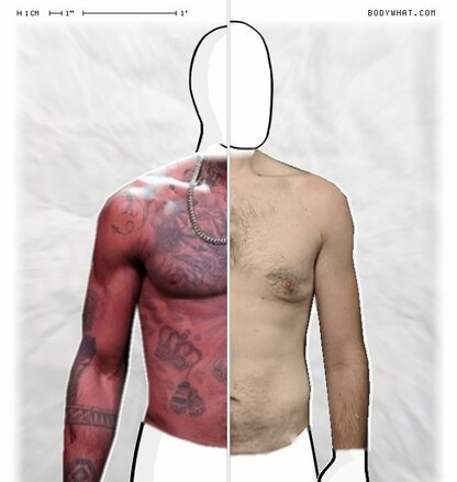 Torso Comparison