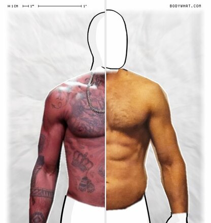 Torso Comparison