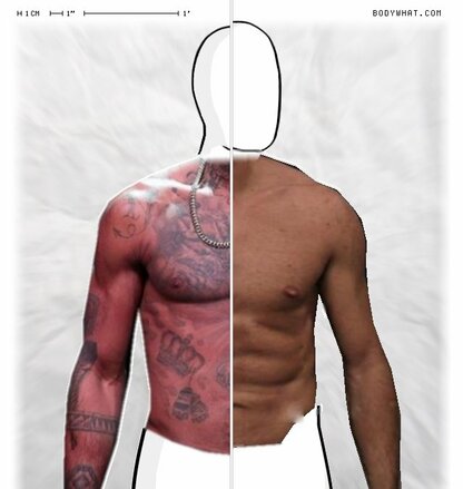 Torso Comparison