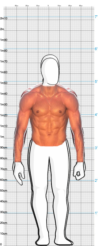 Full Size Comparison