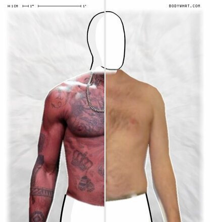 Torso Comparison