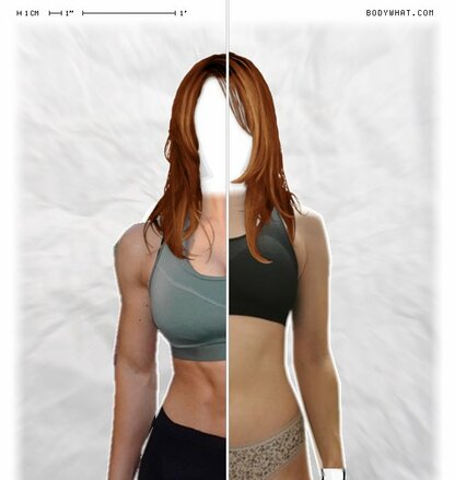Torso Comparison