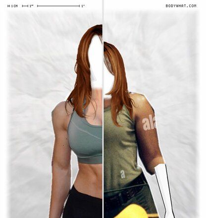 Torso Comparison