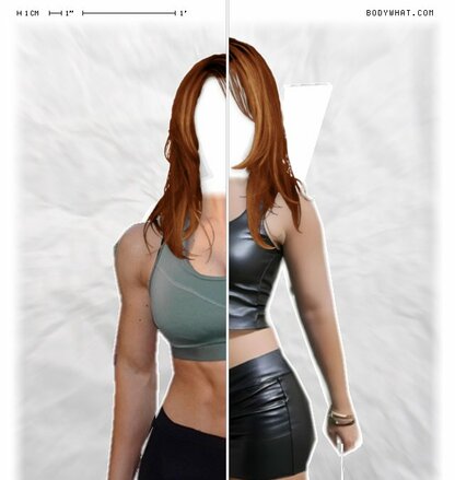 Torso Comparison