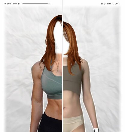 Torso Comparison