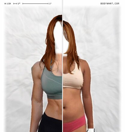 Torso Comparison