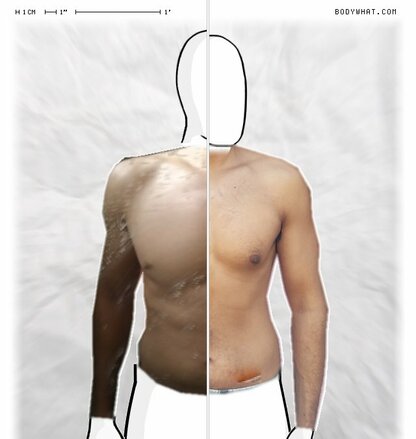 Torso Comparison